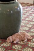 Cat lying in front of floor vase on tiled floor with Oriental pattern