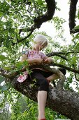 Blondes Mädchen sitzt auf einem Baum