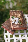Antiquarische Bücher und Obstblüte auf Gartenstuhl