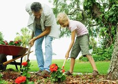 Vater und Tochter pflanzen Blumen im Garten