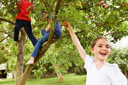 Children playing in fruit tree in meadow