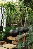 Exotic garden area with ceramic vessels on sandstone bench