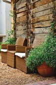 Moderne Rattan Sessel mit Polster und Pflanzentopf vor rustikaler Blockhauswand