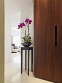 Modern cupboard made of nut wood next to a plant stand with orchids in a lobby with a view through a passage of a sofa
