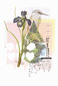 Multi-layered natural design with iris (print)