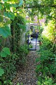 Einfache Schaukel an dickem Ast in schmalem Kleingarten, seitlich mit verschiedenen Begrünungen begrenzt; ein gekiester Weg führt zur gepflasterten Terrasse eines Wohnhauses: sommerliches ruhiges Ambiente