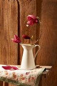 Magnolia flowers in a pitcher