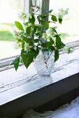 Twigs of green leaves and white flowers in glass vase on white, vintage windowsill