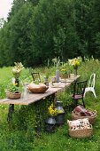 Gedeckter Tisch auf einer Wiese für ein Sommerfest in Norwegen
