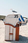Seagull sitting on a roofed wicker beach chair