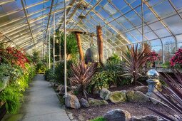 Professionally designed garden with tropical plants in a greenhouse (Volunteer Park Conservatory, Seattle)