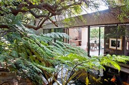 Südafrikanischer Garten und moderner Bungalow mit Blick ins Innere