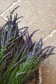 Freshly picked lavender in basket on stone floor