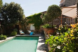 Gartenpool mit Olivenbäumen in Tontöpfen vor provenzalischem Steinhaus