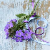 Posy in shades of blue and purple