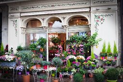 Various potted plants in front of florist shop