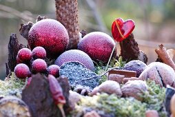 Rote Kugeln vom Rauhreif im Garten überfroren in einer winterlichen Dekoration aus getrockneten Zitronen, Zimt, Tannenzapfen, Walnüssen im Moos mit einem roten Glasherz