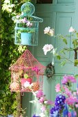 Small potted plants in pastel-coloured bird cages hanging in front of old door with door knocker