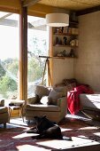 Light filled room - dog on the carpet in front of a cozy armchair and patio door in an eco-friendly house