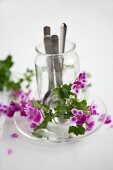 Cutlery in jar surrounded by scented pelargoniums