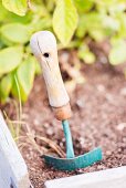 Small garden trowel in the soil of a herb bed