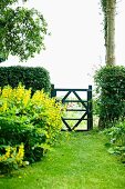 Garden gate between hedges and bed of yellow flowers