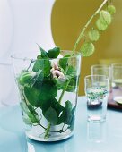 Flowering twigs in glass of water on table