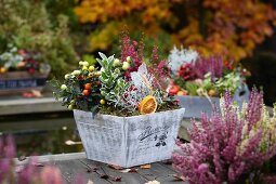 Herbstliches Gesteck in Holzkiste mit Heidekraut, Zierpaprika, Leucophytha brownii und Euonymus auf Holztisch im Garten