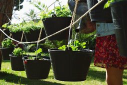 Woman watering plants in garden buckets hanging from ropes
