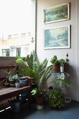 Corner of balcony decorated with pictures & potted plants