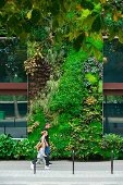 Kunstaktion - Famile auf Strasse vor Hotel Hauswand mit vertikalem Garten in Paris