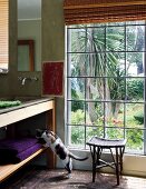 Rattan Schemel vor Sprossenfenster mit Gartenblick und Katze an Regalunterbau eines Waschtisches
