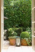 View through open French door of a terrace with terra cotta plant pots in front of a tall hedge
