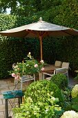 Summery mood with nostalgic flair: ball-shaped boxwood topiary in front of a patio with a sun umbrella and hedge