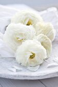 White roses with silk paper on a stone plate