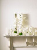 Cylindrical glass vases with white orchid flowers