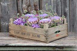 Vintage wooden crate of artichokes, hydrangeas and marjoram flowers