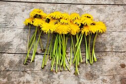 Dandelion flowers with stalks on wooden surface