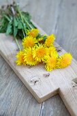 Dandelion flowers on cutting wooden board (close-up)