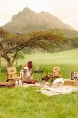 Elegant picnic equipment and colonial-style chairs in meadow with view of mountain