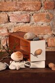 Stones and various snail shells on stacked boxes in front of rustic brick wall