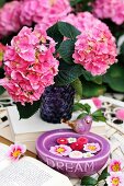 Rosa Hortensienblüten in einer violetten Glasvase