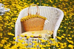 White wicker chair amongst meadow of yellow flowers