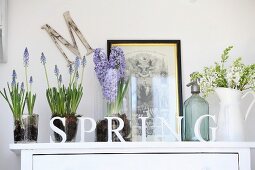 Shabby chic arrangement on white cabinet with spring flowers in glass vessels and enamel jug, old soda siphon behind row of letters reading SPRING