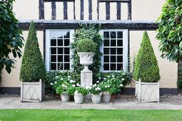 Flowering, potted plant around plinth with antique, Greek urn and topiary box trees in front of country house with lattice windows
