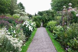 Blooming flower beds lining gravel path with topiary box bushes in background in English garden