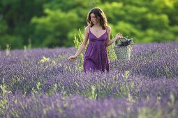 Junge Frau im Lavendelfeld (Vignale Monferrato, Piemont, Italien)