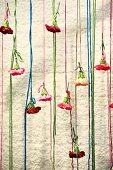Pinks tied to thread curtain