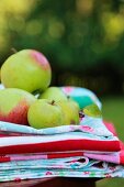 Fresh apples on stack of cloths in garden