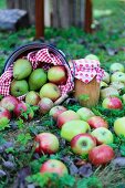 Harvest of apples and pears and preserving jar decorated with red and white fabric arranged on lawn